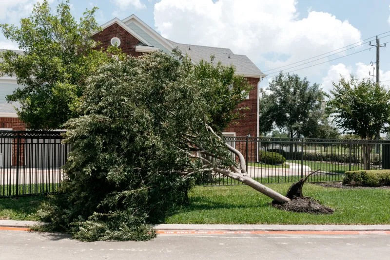 Disaster Recovery - never lose access